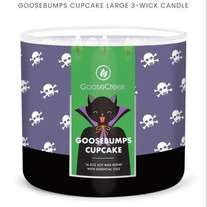 🎃Halloween Chocolate Lava Raspberry Cupcake Candle (3-Wick)